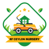 RF CEYLON - GRASS SUPPLIER & GRASS NURSERY